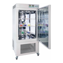 RGQ-250N人工气候箱